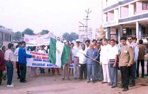 Fans Peace March Anand